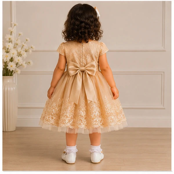 Baby Girls 3pc Floral Layered Party Dress with Headband & Shoes (6-24M)