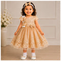 Baby Girls 3pc Floral Layered Party Dress with Headband & Shoes (6-24M)