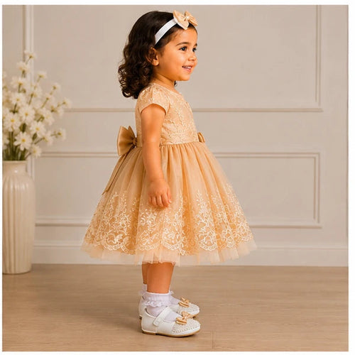 Baby Girls 3pc Floral Layered Party Dress with Headband & Shoes (6-24M)
